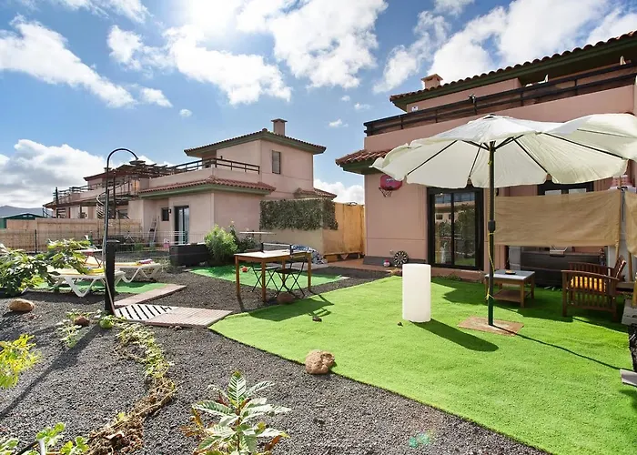 Amadeus لا أوليفا