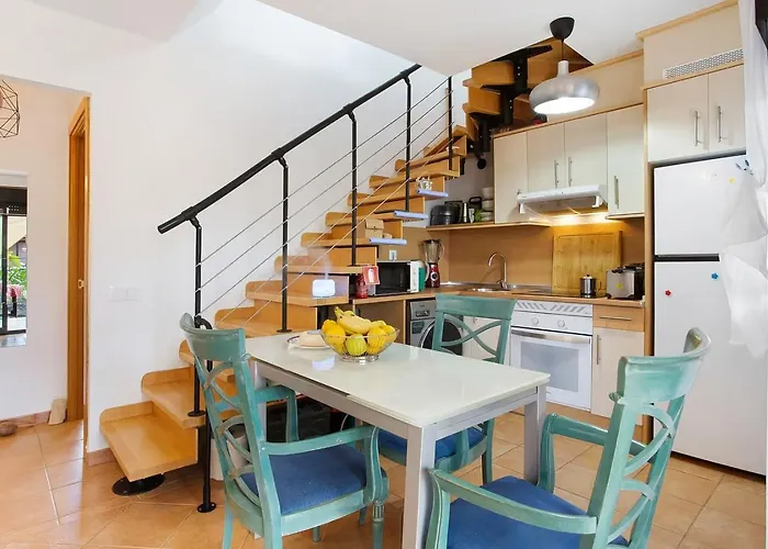 Amadeus * لا أوليفا