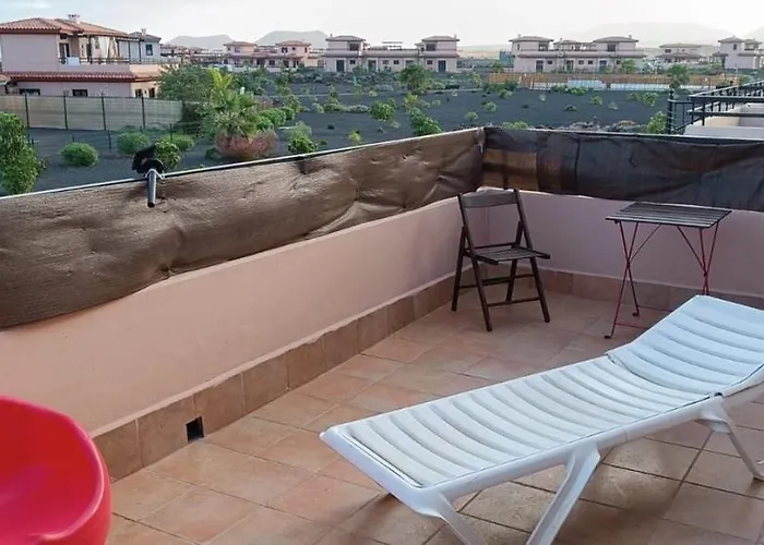 Amadeus لا أوليفا