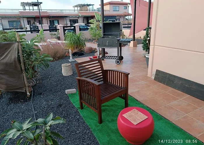 Amadeus * لا أوليفا